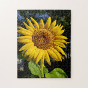 Zonnebloem Legpuzzel