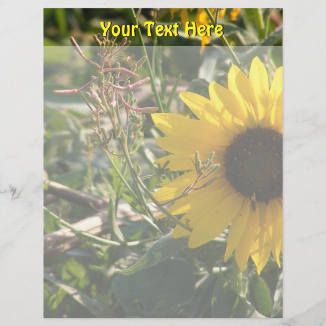 Zonnebloem Letterkop (Voorkant)