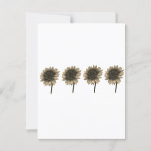 Zonnebloem Live, Lach, Liefde Briefkaart