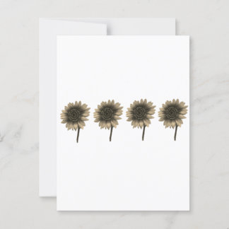 Zonnebloem Live, Lach, Liefde Briefkaart