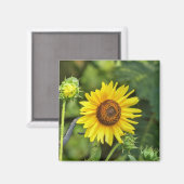 Zonnebloem Magneet (Voorkant / Achterkant)