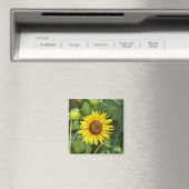 Zonnebloem Magneet (Insitu (Vaatwasser))