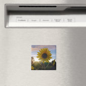 Zonnebloem Magneet (Insitu (Vaatwasser))