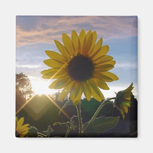 Zonnebloem Magneet (Voorkant)