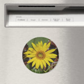 Zonnebloem Magneet (Insitu (Vaatwasser))