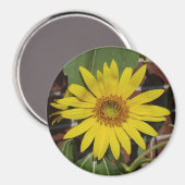 Zonnebloem Magneet (Voorkant / Achterkant)