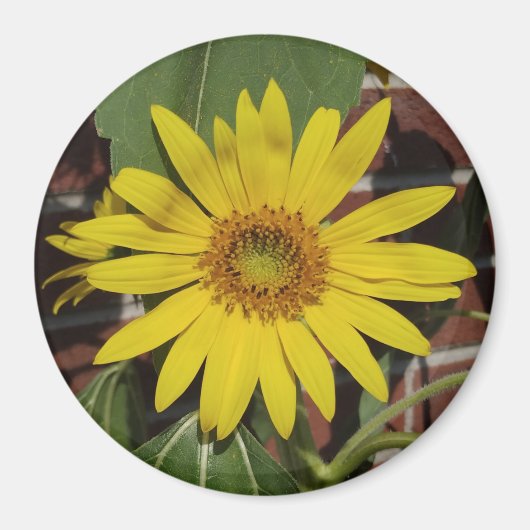 Zonnebloem Magneet (Voorkant)