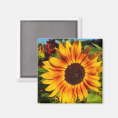 Zonnebloem Magneet (Voorkant / Achterkant)