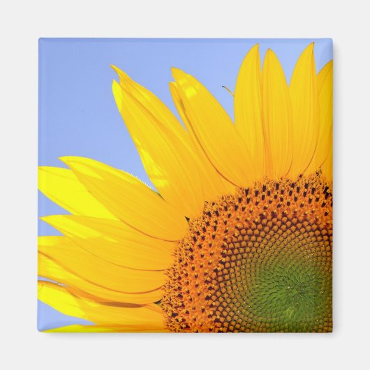 Zonnebloem Magneet (Voorkant)