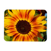 Zonnebloem Magneet (Horizontaal)