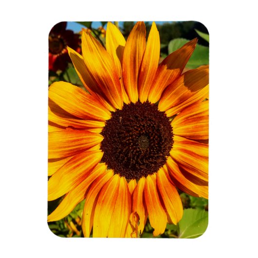 Zonnebloem Magneet (Verticaal)
