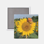 Zonnebloem Magneet (Voorkant / Achterkant)