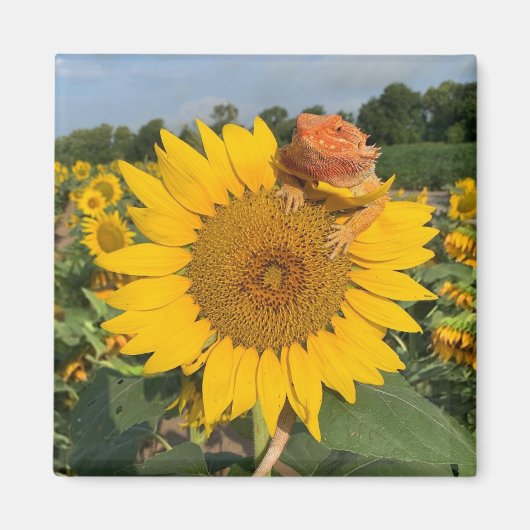Zonnebloem Magneet (Voorkant)