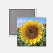 Zonnebloem Magnet Magneet (Voorkant / Achterkant)