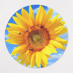 Zonnebloem met bijen Stickers