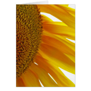 Zonnebloem met bloemen