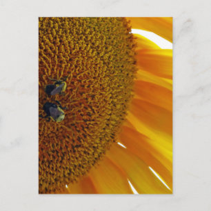 Zonnebloem met bloemen briefkaart
