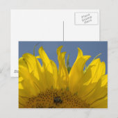 Zonnebloem met Briefkaart van bijen (Voorkant / Achterkant)