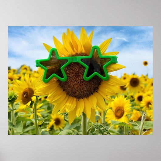 Zonnebloem met Star Sunbril Poster (Voorkant)