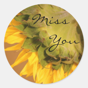 Zonnebloem, Miss You Ronde Sticker