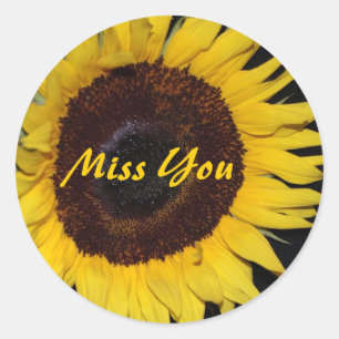 Zonnebloem, Miss You Ronde Sticker