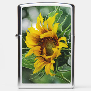 Zonnebloem - Mooie foto voor fijne kunst