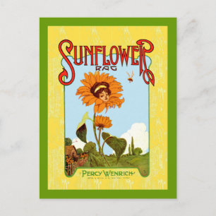  Zonnebloem Muziek Briefkaart