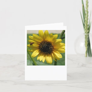 Zonnebloem notecard 2 kaart