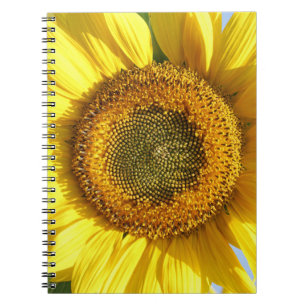 Zonnebloem Notitieboek