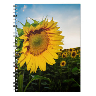 Zonnebloem Notitieboek