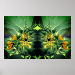 Zonnebloem Ontvouwende Spiegel Abstract Poster