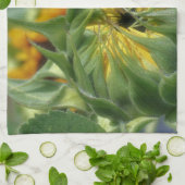 Zonnebloem ontvouwt bloem theedoek (Gevouwen)