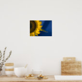 Zonnebloem op blauw poster (Keuken)