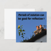 Zonnebloem op het dak. (Voorkant / Achterkant)