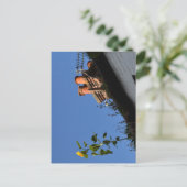Zonnebloem op het dak. briefkaart (Staand voorkant)