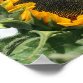 Zonnebloem op zonneschijn poster (Hoek)