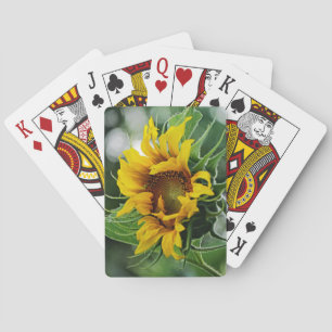 Zonnebloem Pokerkaarten