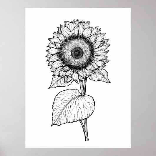 Zonnebloem Poster (Voorkant)