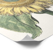 Zonnebloem Poster (Hoek)