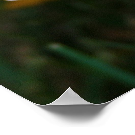 Zonnebloem Poster (Hoek)