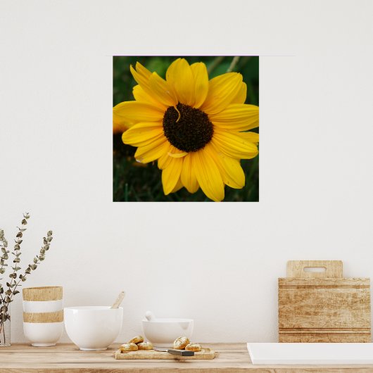 Zonnebloem Poster (Keuken)