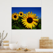 Zonnebloem Poster (Keuken)