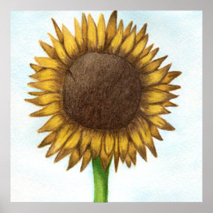  zonnebloem poster