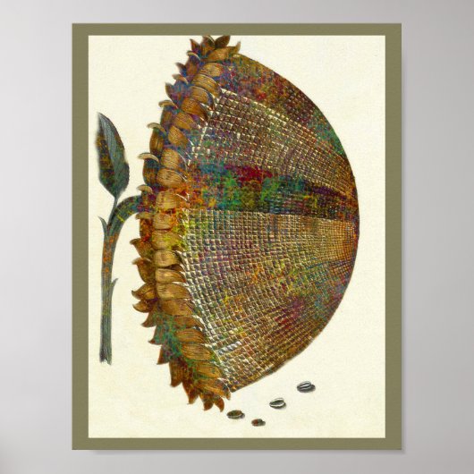 Zonnebloem Poster (Voorkant)