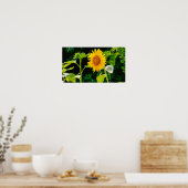 Zonnebloem Poster (Keuken)