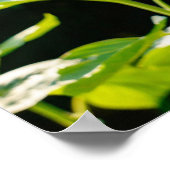 Zonnebloem Poster (Hoek)