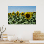 Zonnebloem Poster (Keuken)