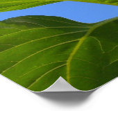 Zonnebloem Poster (Hoek)