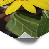 Zonnebloem Poster (Hoek)