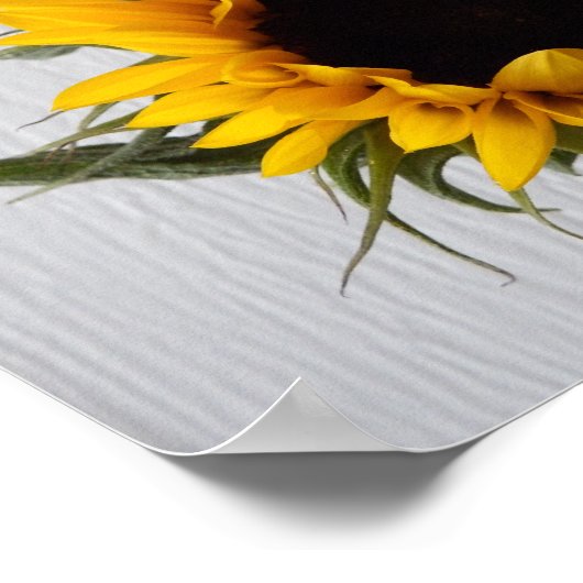 Zonnebloem Poster (Hoek)